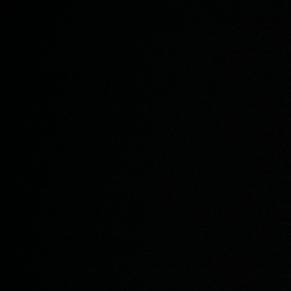 Meet your Posher, Ruby - Picture 1 of 1